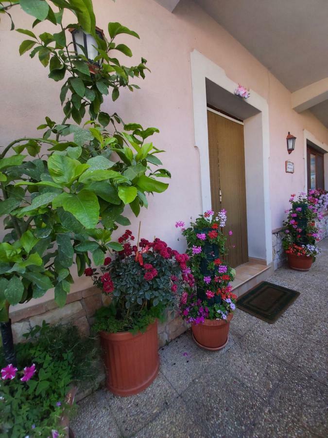 Il Ritrovo Delle Volpi Agerola Exterior foto